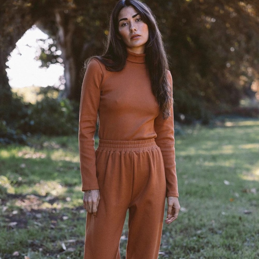 Long Sleeve Ribbed Turtleneck Kara Thoms